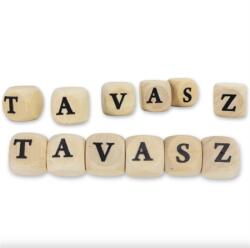  Fa dobókocka 1, 6cm Tavasz felirattal 2szett/csomag