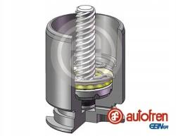 Autofren Seinsa D02554RK Dugattyú