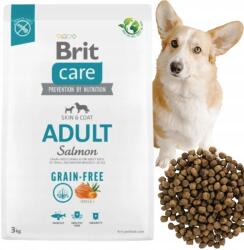 Brit Száraz Kutyaeledel kutyáknak Lazac Brit Care Dog Grain Felnőtt Salmon 3KG Allergia Ellen