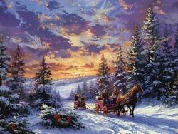 NORIMPEX - Puzzle Tablou Diamant: Plimbare cu sania 30x40cm - 1 - 39 piese