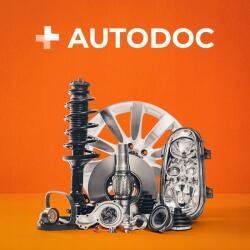 Ernst Rugalmas kipufogó alkatrész 460002