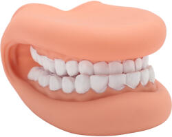  Szájmodell Mozgatható Nyelvvel És Fogakkal - Száj Báb Logopédia