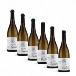Casa Santa Eulália Set Vin Alb Sec Casa Santa Eulália Alvarinho Trajadura Vinho Verde 12.5%, 6 x 0.75L
