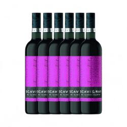 Scavi& Ray Set 6 x Vin Aromarizat Scavi&Ray Rosso al Cioccolato 10%, 0.75 l