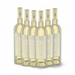 Liliac Vin Alb Sec Liliac Sauvignon Blanc 13%, 6 x 750ml