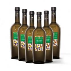 Tenuta Ulisse Vin Alb Sec Tenuta Ulisse Unico Cococciola 13%, 6 x 0.75L