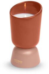 Estéban Paris Iconic Illatgyertya 220g Teck és Tonka illat (ICO-006)