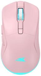 Baracuda Turtle-P BC (BGM-124P) Mouse