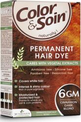 Color & Soin Vopsea de par fara amoniac, fara silicon, blond scortisoara, 6GM, Color & Soin
