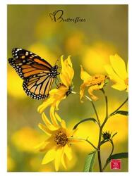 Pigna Butterflies A4 42 lap, tűzött, kockás füzet (P1111-1281) - officedepot