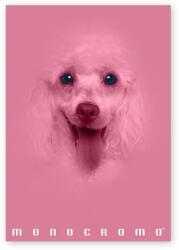 Pigna Monocromo Pink A4 38 lap, tűzött, kockás füzet (P1111-1293) - officedepot