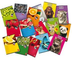 Pigna Fruits A4 42lapos tűzött kockás füzet (P1111-0385)