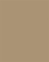 FOLIA Dekorkarton, 2 oldalas, 50x70cm, 220 g, 10 lap, FOLIA, őzbarna (FL61221075) - webpapir