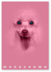 Pigna Monocromo Pink A4 38 lap, tűzött, kockás füzet (P1111-1293) - tintasziget