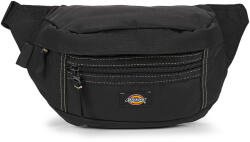 Dickies Borseta de brâu Femei ASHVILLE POUCH BLACK Dickies Negru Unic