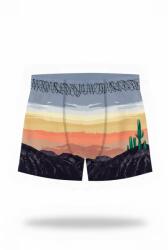 FASHY Бански гащета Fashy 24991 swimming shorts - Multicolor (As Original)