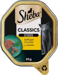 Sheba Classics alutálkás macskatáp pástétomban - Baromfikeverék - 85 g