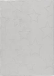Takoy Szőnyeg BAM 304 ezüst 120 x 170 cm