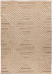 Takoy Szőnyeg VIV 402 bézs 160 x 230 cm