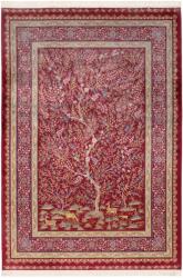 Takoy Szőnyeg PNO 903 piros 60 x 90 cm