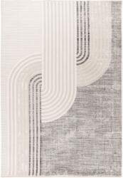 Takoy Szőnyeg VIS 703 ezüst 200 x 290 cm