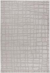 Takoy Szőnyeg LOT 301 ezüst 120 x 170 cm