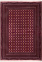 Takoy Szőnyeg PNO 904 piros 60 x 90 cm