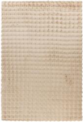 Takoy Szőnyeg HAR 800 bézs 160 x 230 cm