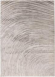 Takoy Szőnyeg SED 404 bézs-ezüst 200 x 290 cm