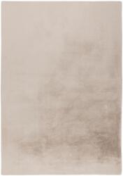 Takoy Szőnyeg SPI 500 világos taupe 160 x 230 cm