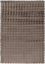 Takoy Szőnyeg HAR 800 taupe 80 x 150 cm