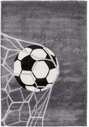 Takoy Szőnyeg HAP 308 ezüst 160 x 230 cm