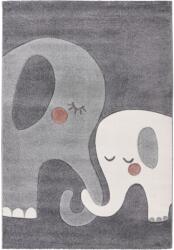 Takoy Szőnyeg HAP 301 ezüst 120 x 170 cm