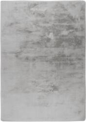 Takoy Szőnyeg DCE 900 ezüst 120 x 170 cm