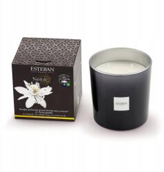 Estéban Illatgyertya (450 g) Neroli Esteban (NER-103)