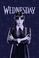 Jerry Fabrics Polár takaró 100x150 cm - szerda (J-24BL040)