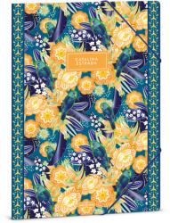 Ars Una Catalina Estrada Parrot Tropical A/4 gumis dosszié (50212712) - grapa