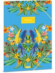 Ars Una Catalina Estrada Araratiti A/4 gumis dosszié (50212743) - grapa