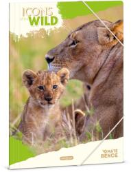 Ars Una Máté Bence Icons of the Wild-Lions A/4 gumis dosszié (50215041) - grapa
