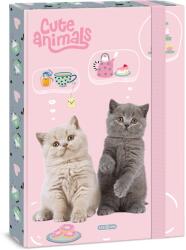 Ars Una Cute animals-tea party A/4 füzetbox (50855322) - grapa