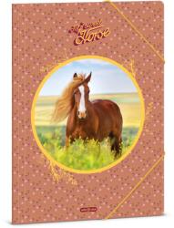 Ars Una My Sweet Horse A/4 gumis dosszié (50213580) - grapa