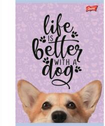 UNIPAP Füzet A5 16k kockás laminált Dog mintás, kutya mintás MIX! (5903235675355)