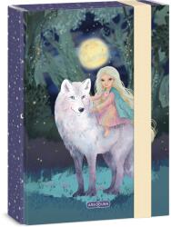 Ars Una Northern Lights A/5 füzetbox (50865277)