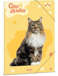 Ars Una Cuki Állatok-Norvég erdei macska A/4 gumis dosszié (50214297) - grapa
