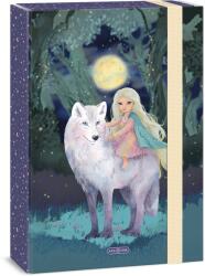 Ars Una Northern Lights A/4 füzetbox (50855278)