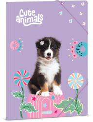 Ars Una Cute animals- Aussie A/4 gumis dosszié (50215287)