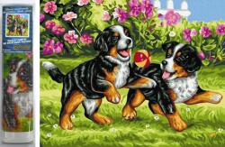 NORIMPEX - Puzzle Pictură cu diamant: Cățeluși jucăuși 30x40cm - 1 - 39 piese