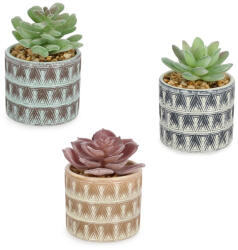 Bizzotto Set 3 plante suculente artificiale in ghiveci ceramica Ø7x11h (0173169)