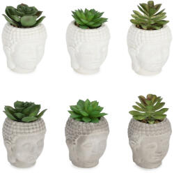 Bizzotto Set 6 plante suculente artificiale in ghiveci ceramica Budha Ø8x12h (0173176)