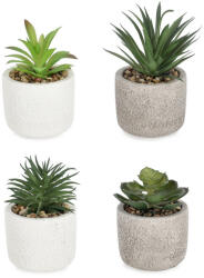 Bizzotto Set 4 plante suculente artificiale in ghiveci ciment Ø9x13h (0173181)
